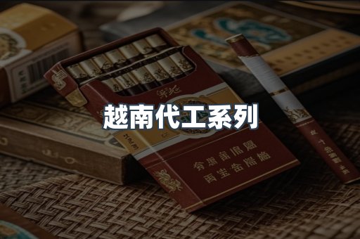 越南代工系列
